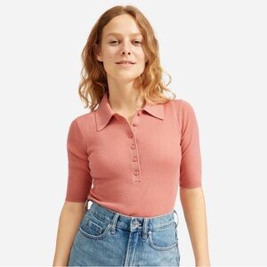 Everlane Merino Wool Ribbed Polo Sweater